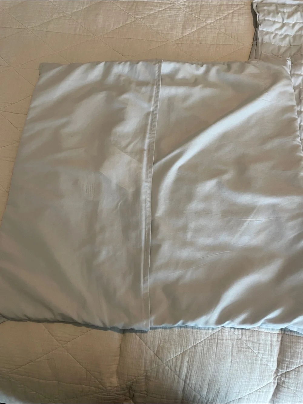 Target Light Gray Euro Covers Pair